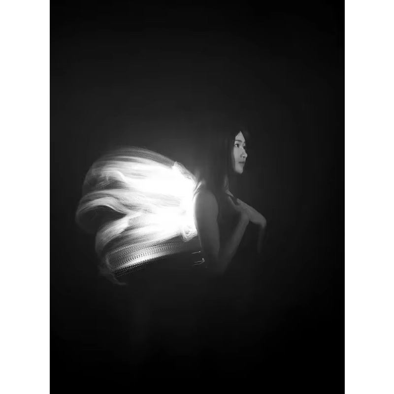 LLP light brush module light d - Photography Lighting Guide 评论和价格