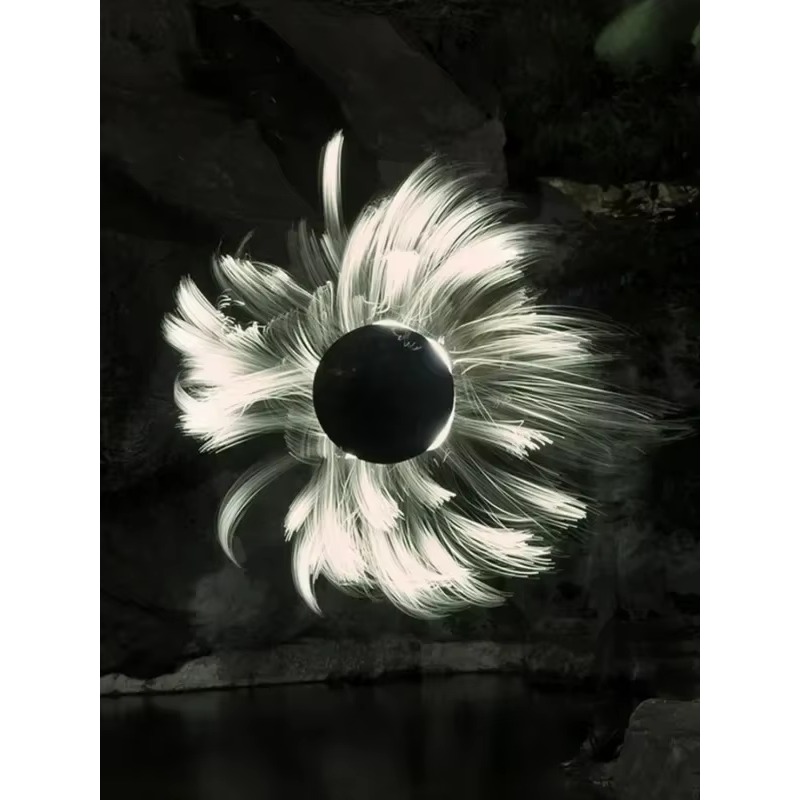 LLP light brush module light d - Photography Lighting Guide 评论和价格