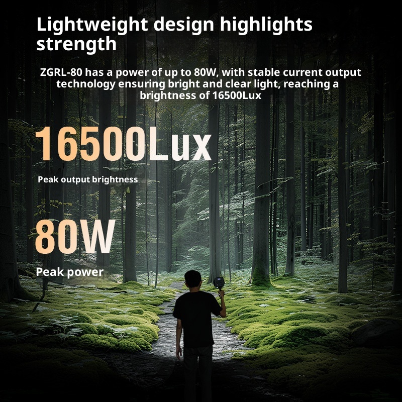 ZGRL80 80W COB LED Video Light - Photography Lighting For Outdoors 评论和价格