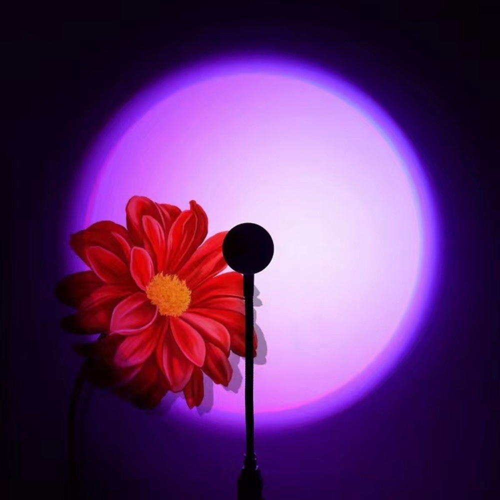 LED RGB Sunset Projection Lamp - Photography Lighting Mood 评论和价格