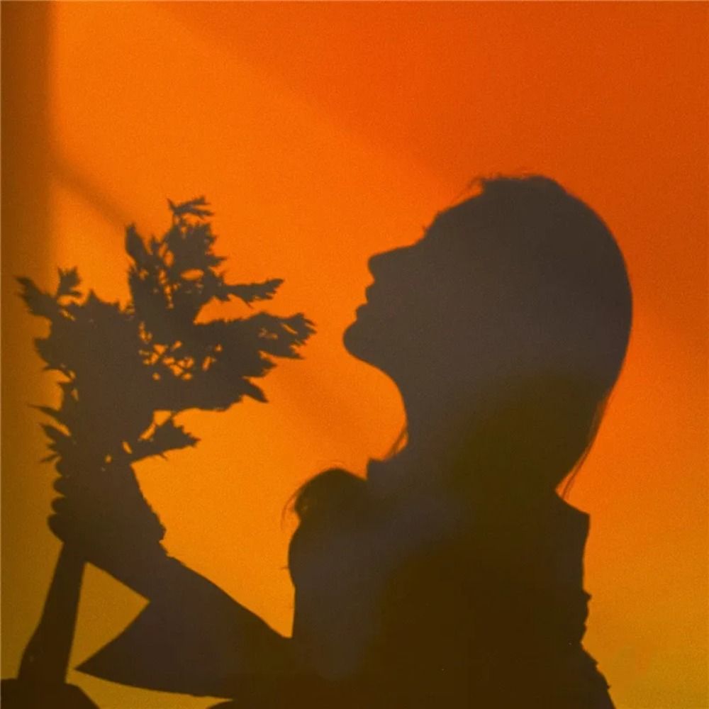 Mood Lighting RGB Sunset Lamp  - Photography Lighting Mood 评论和价格